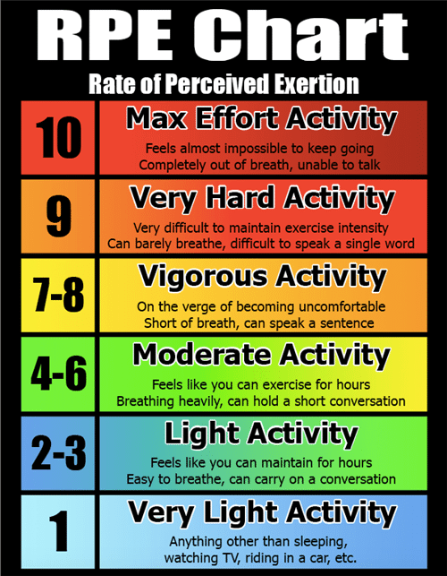 Aerobic 2025 endurance exercises